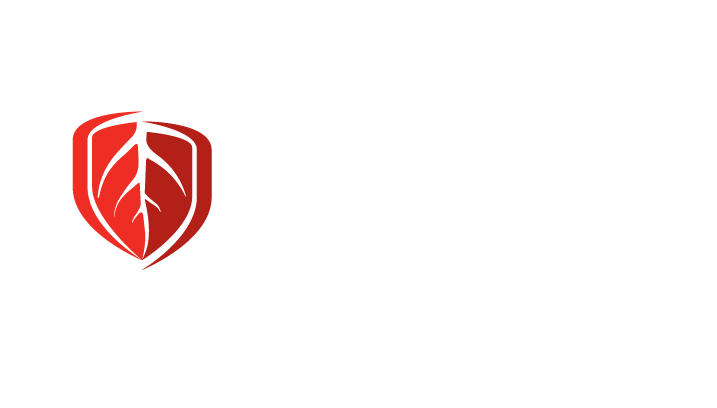 SCL19996-Stoney-Creek-Logo-REVERSED-HORIZONTAL-FA-[Converted]